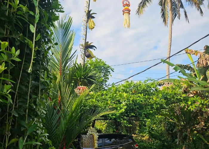 Paradise Luxury Villa *